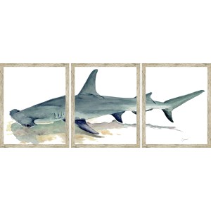 CL- HAMMERHEAD TRIPTYCH